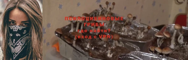 стаф Чердынь