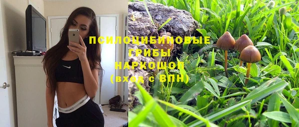 трава Киреевск