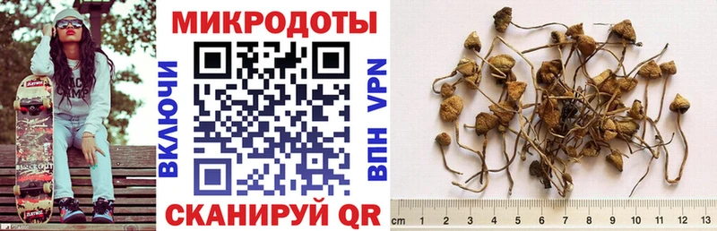 Псилоцибиновые грибы Magic Shrooms  Купить закладки  Мурино 